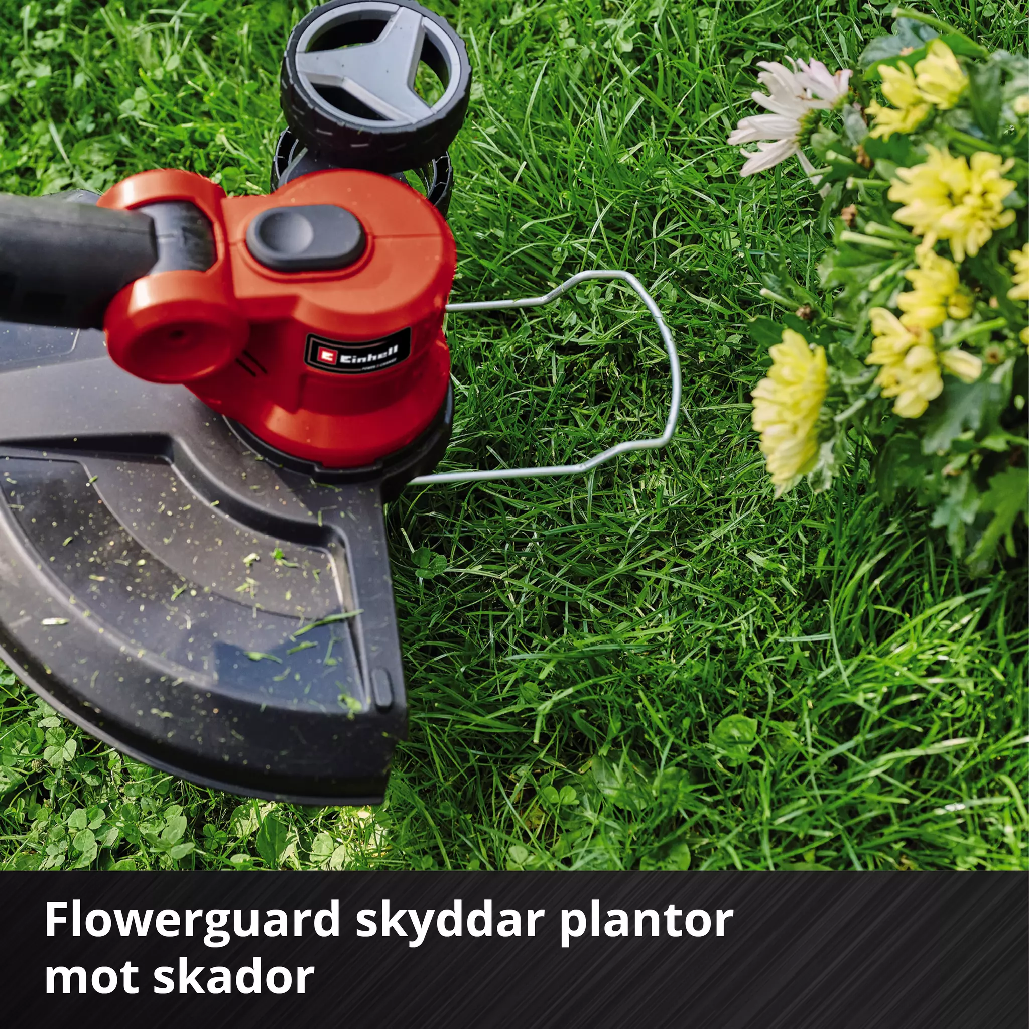 einhell-expert-cordless-lawn-trimmer-3411250-detail_image-006