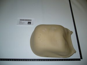 water bag / membrane