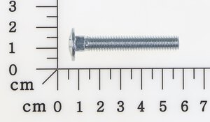 Flachrundschraube