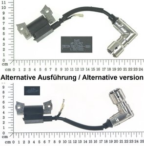 Ignition Module