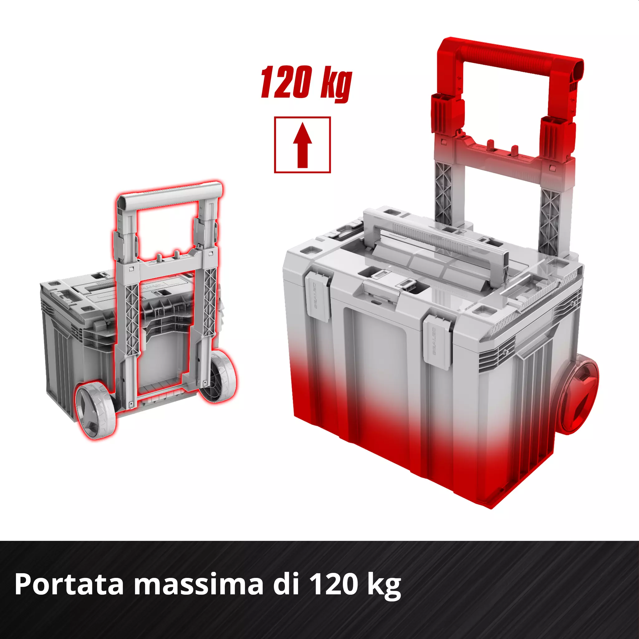 einhell-accessory-system-carrying-case-4540054-detail_image-003