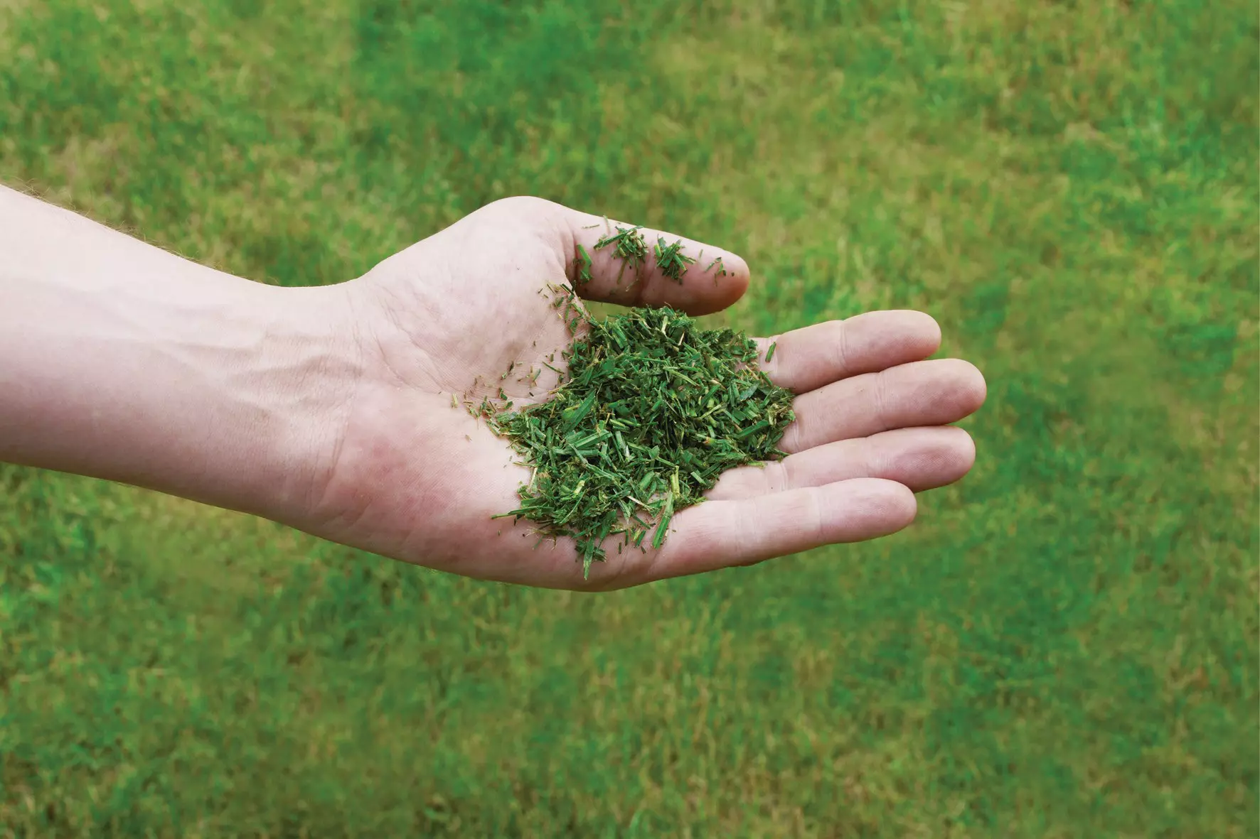 einhell-expert-cordless-lawn-mower-3413240-example_usage-002