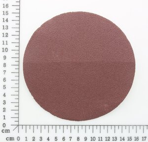 Tellerschleifpapier P80