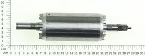 short circuit rotor