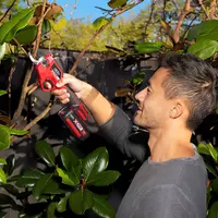 ozito-cordless-pruning-shears-3001192-example_usage-101