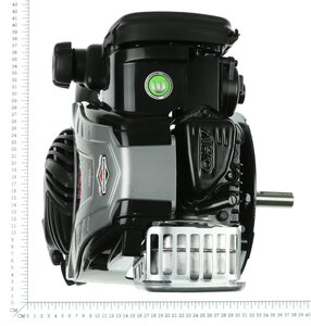 Engine B&S