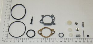 Vergaser Reparatur Satz