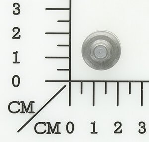 Hammerkopf