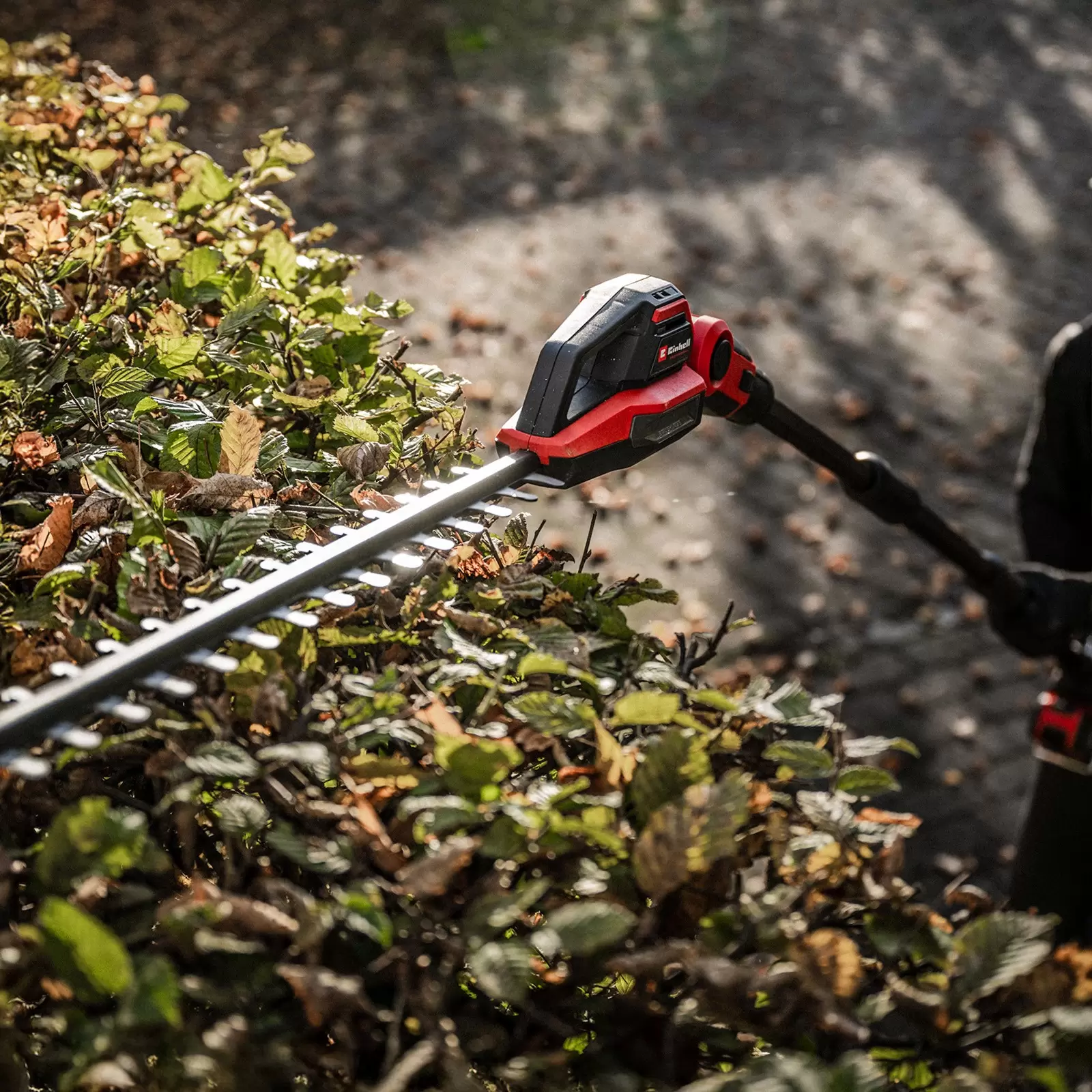 einhell-professional-cl-telescopic-hedge-trimmer-3001463-example_usage-001