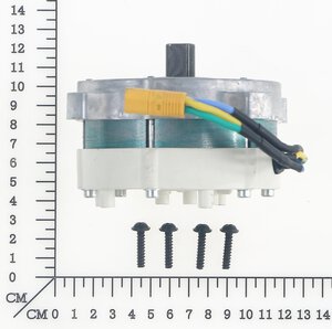 Motor assembly