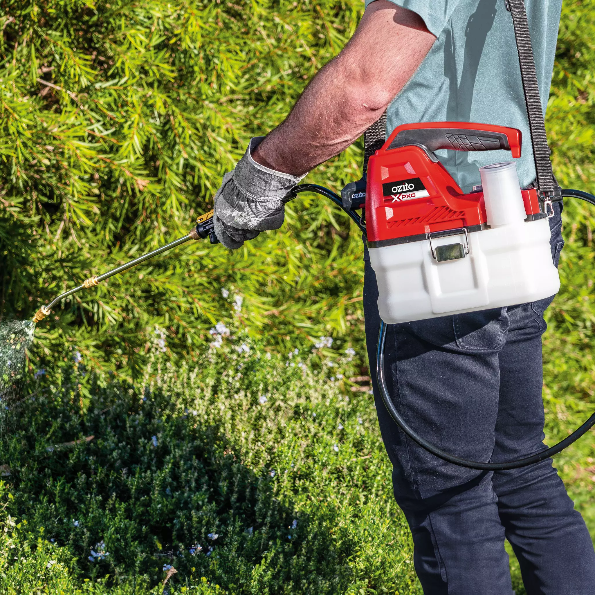 ozito-cordless-pressure-sprayer-3001253-example_usage-103