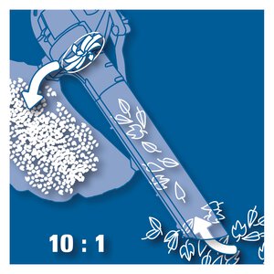 BG-PL 26/1