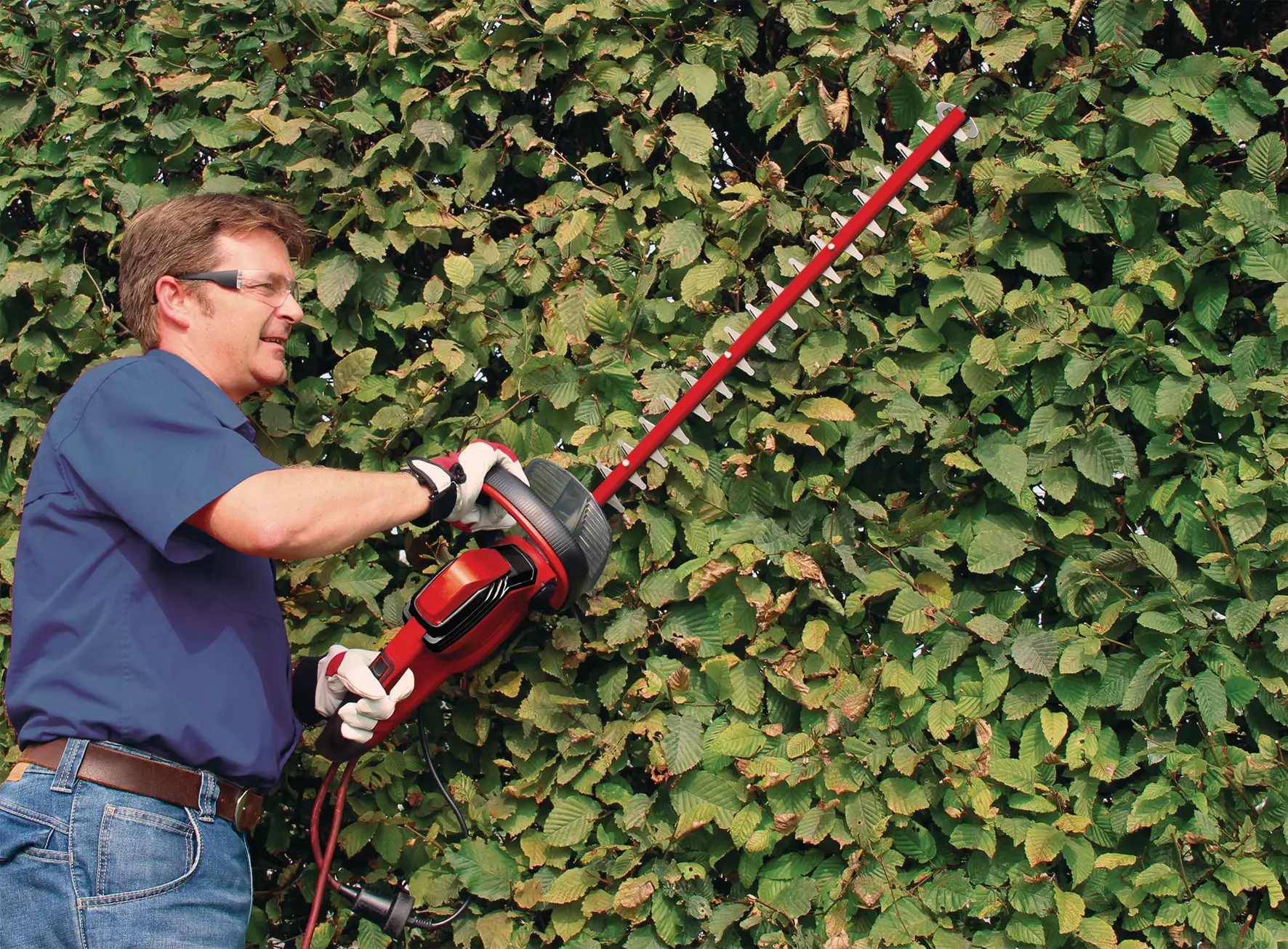 einhell-expert-electric-hedge-trimmer-3403340-example_usage-001