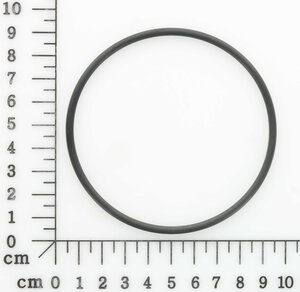 O-Ring