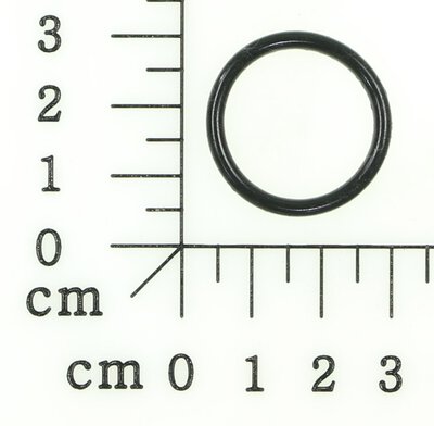 O-Ring