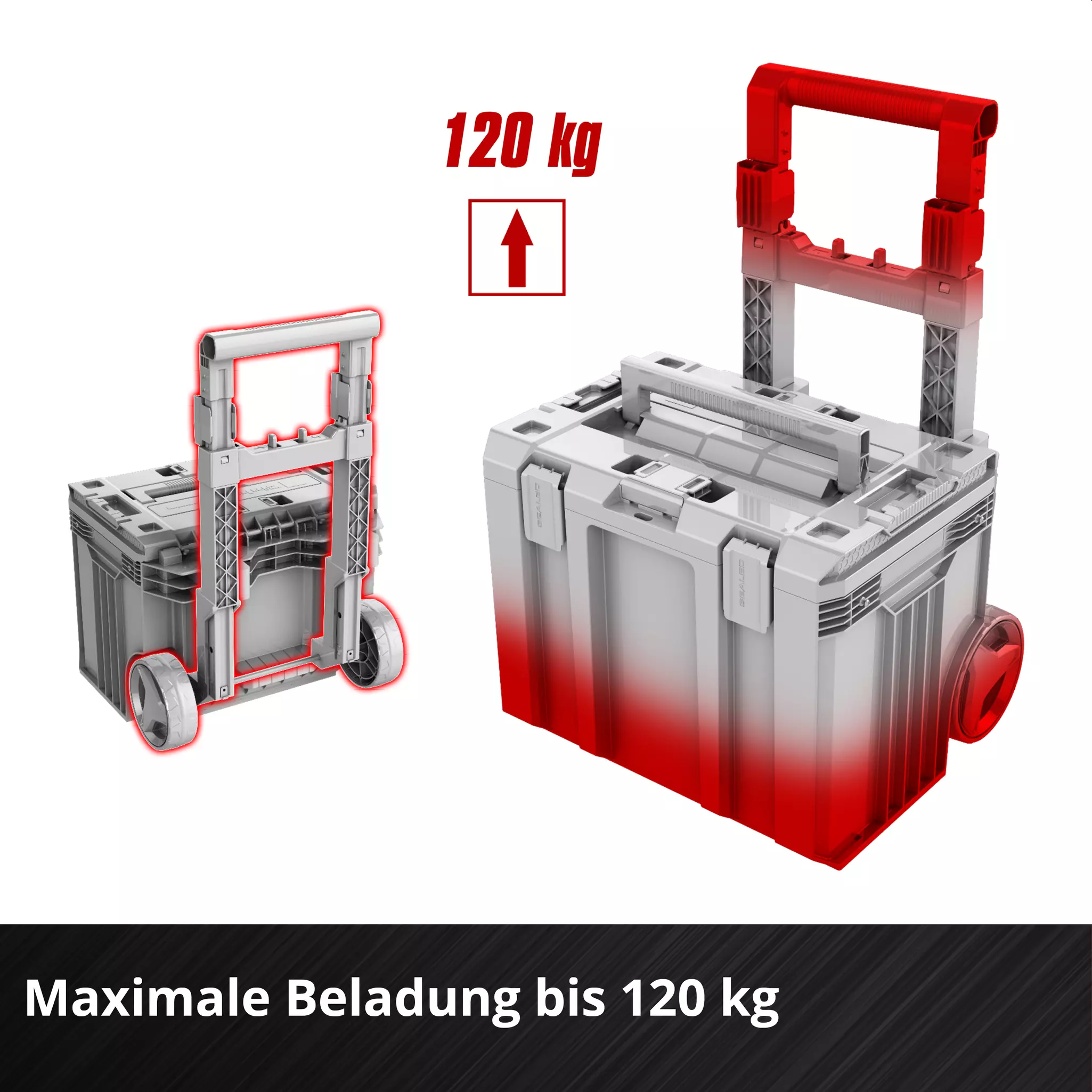 einhell-accessory-system-carrying-case-4540054-detail_image-003