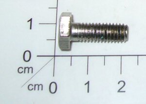Screw