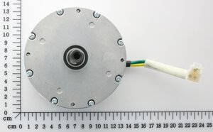 36V Brushless Motor