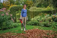 einhell-expert-cordless-leaf-blower-3433551-example_usage-001