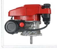 4-Takt Benzinmotor
