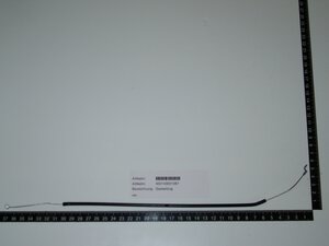 gas throttle