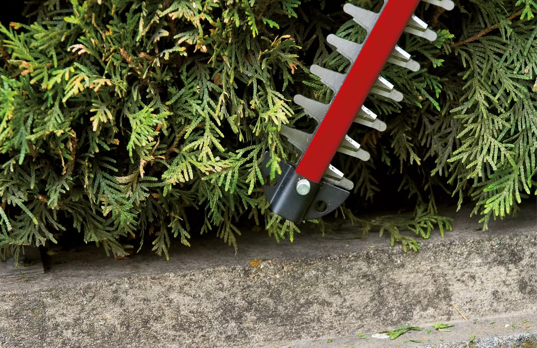 einhell-classic-cordless-hedge-trimmer-3410506-detail_image-006