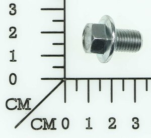 screwed oil drain plug