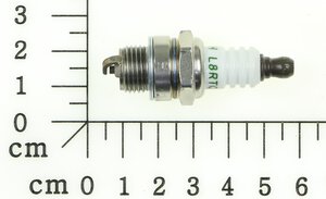 sparkplug