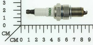 sparkplug