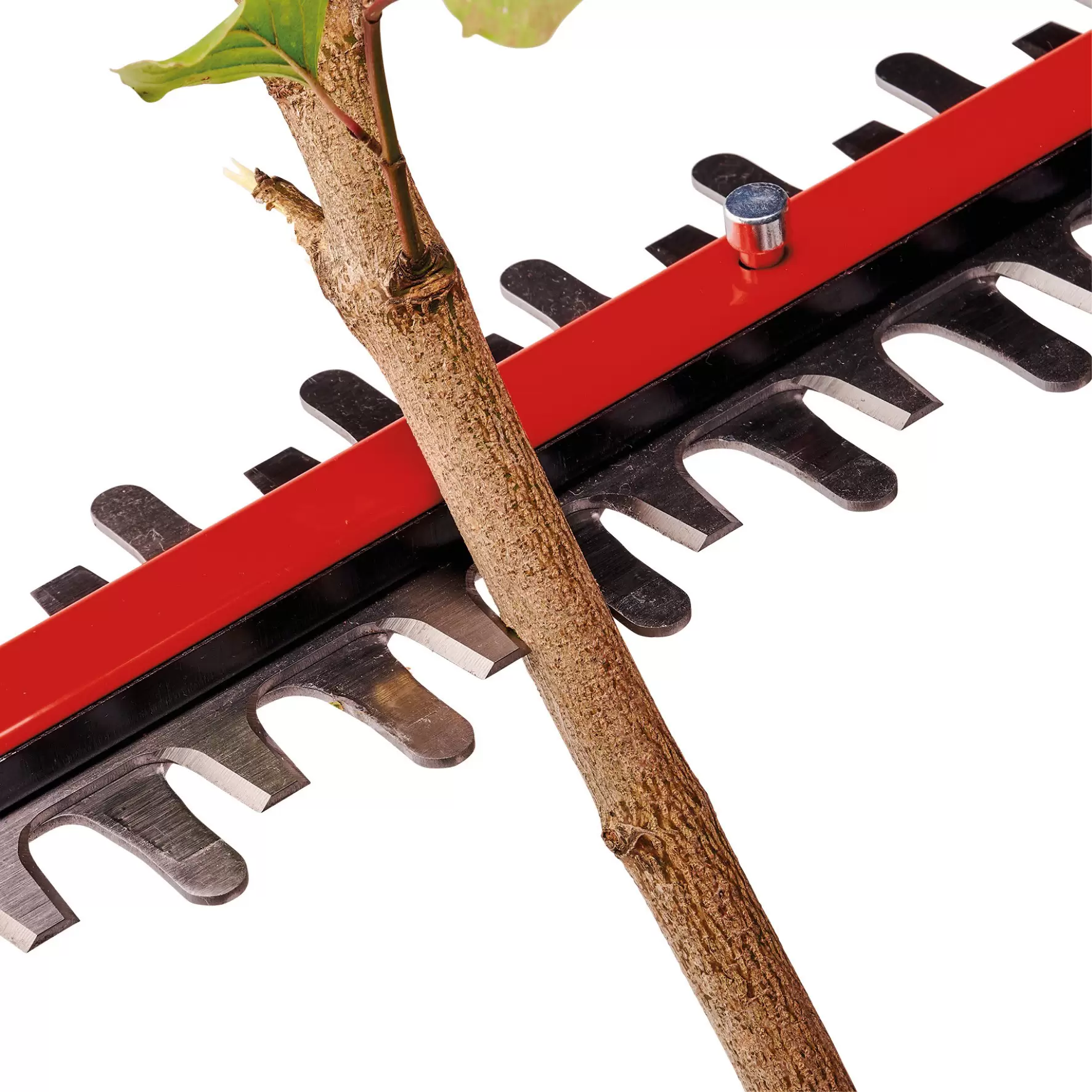 einhell-professional-cordless-hedge-trimmer-3410935-detail_image-002