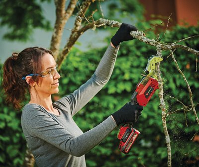 einhell-expert-cordless-pruning-saw-3408290-example_usage-101