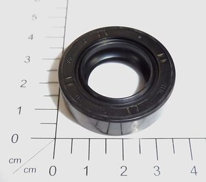 Oil seal