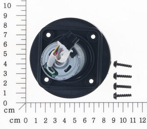 Rear Wheel Motor Assembly