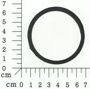o-ring