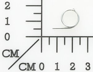 torsion spring