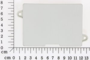Ladeplatine