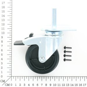 Castor Assembly