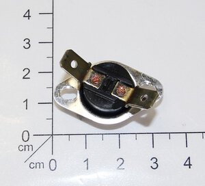 Thermoschutzschalter