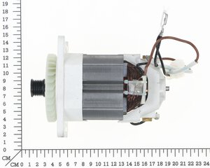 Motor