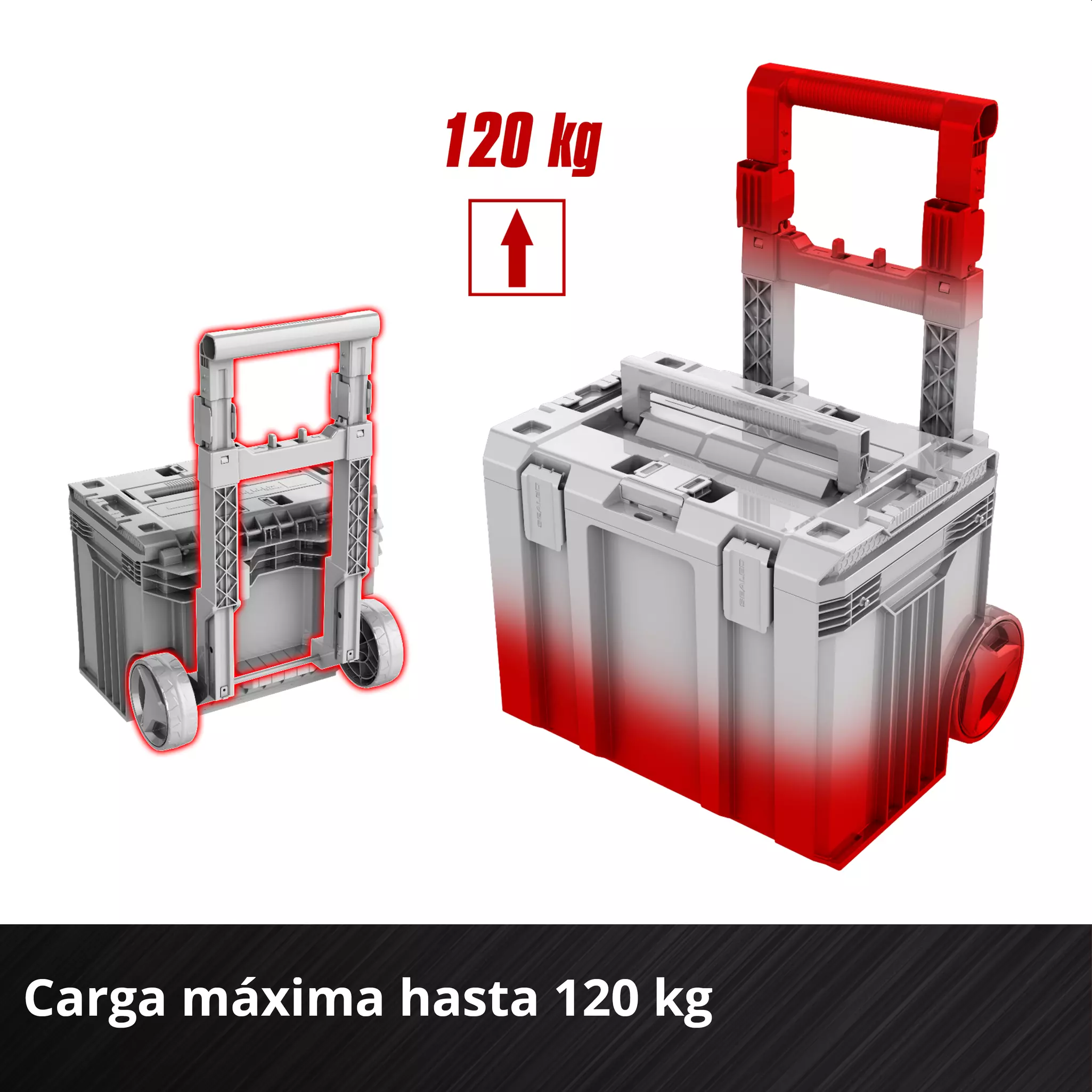 einhell-accessory-system-carrying-case-4540054-detail_image-003