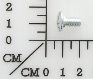 Square-neck screw