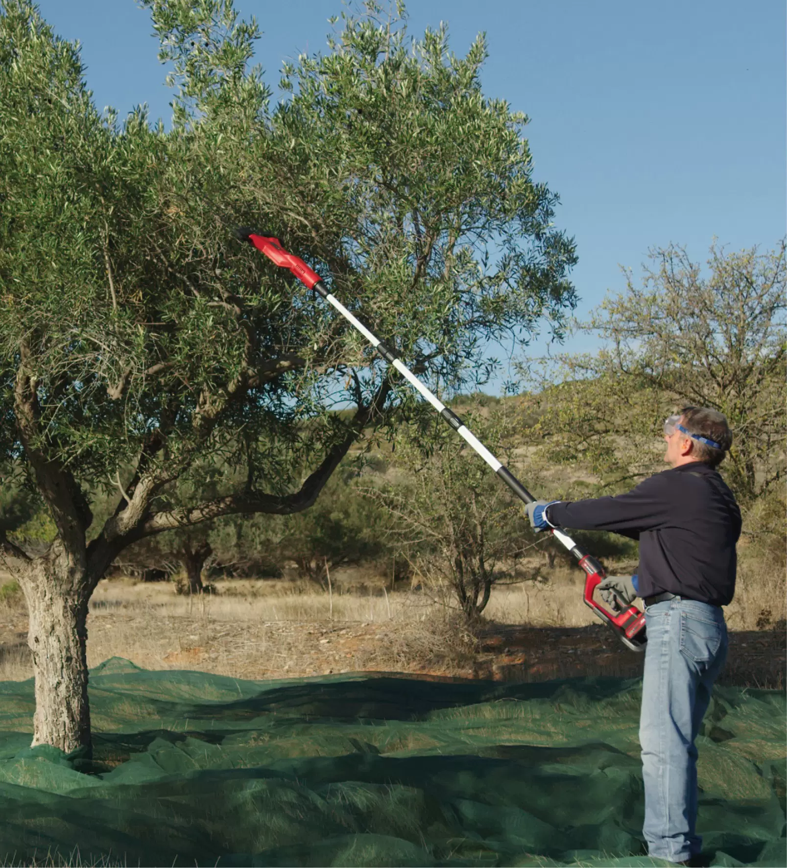 einhell-expert-cordl-olive-fruit-harvester-3411400-example_usage-001
