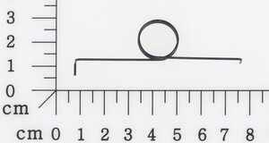 torsion spring