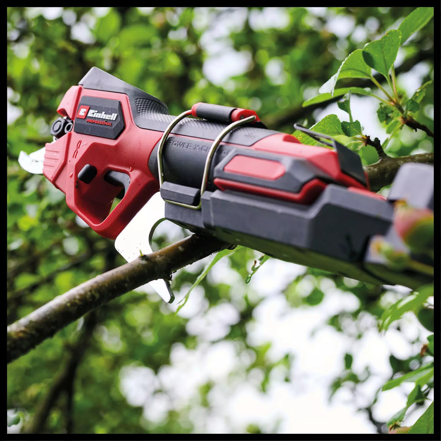 einhell-professional-cordless-pruning-shears-3408330-detail_image-006