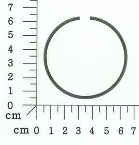 Kolbenring