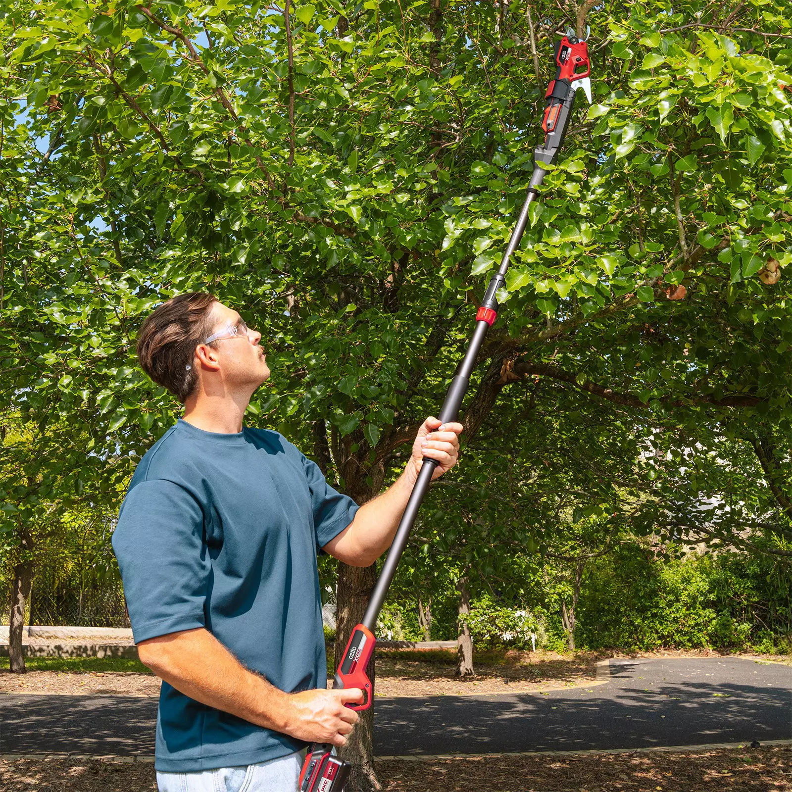 ozito-cordless-pruning-shears-3001291-example_usage-101