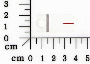 scale pointer