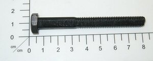 Screw