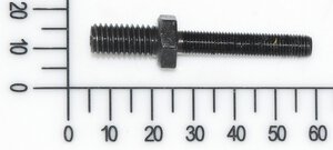 Support bolt