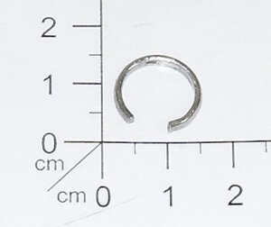 Sicherungsring